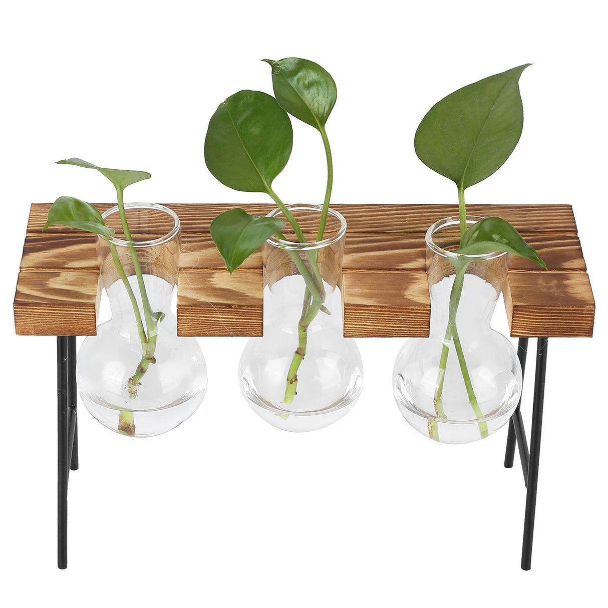 Desktop Glass Planter Wooden Stand Bulb Glass Vase Hydroponics Plant Planter for Home Office Garden3 Bottle