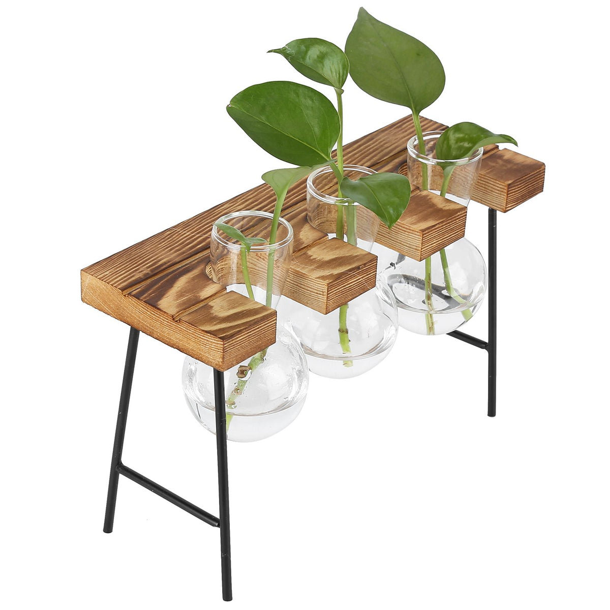 Desktop Glass Planter Wooden Stand Bulb Glass Vase Hydroponics Plant Planter for Home Office Garden3 Bottle