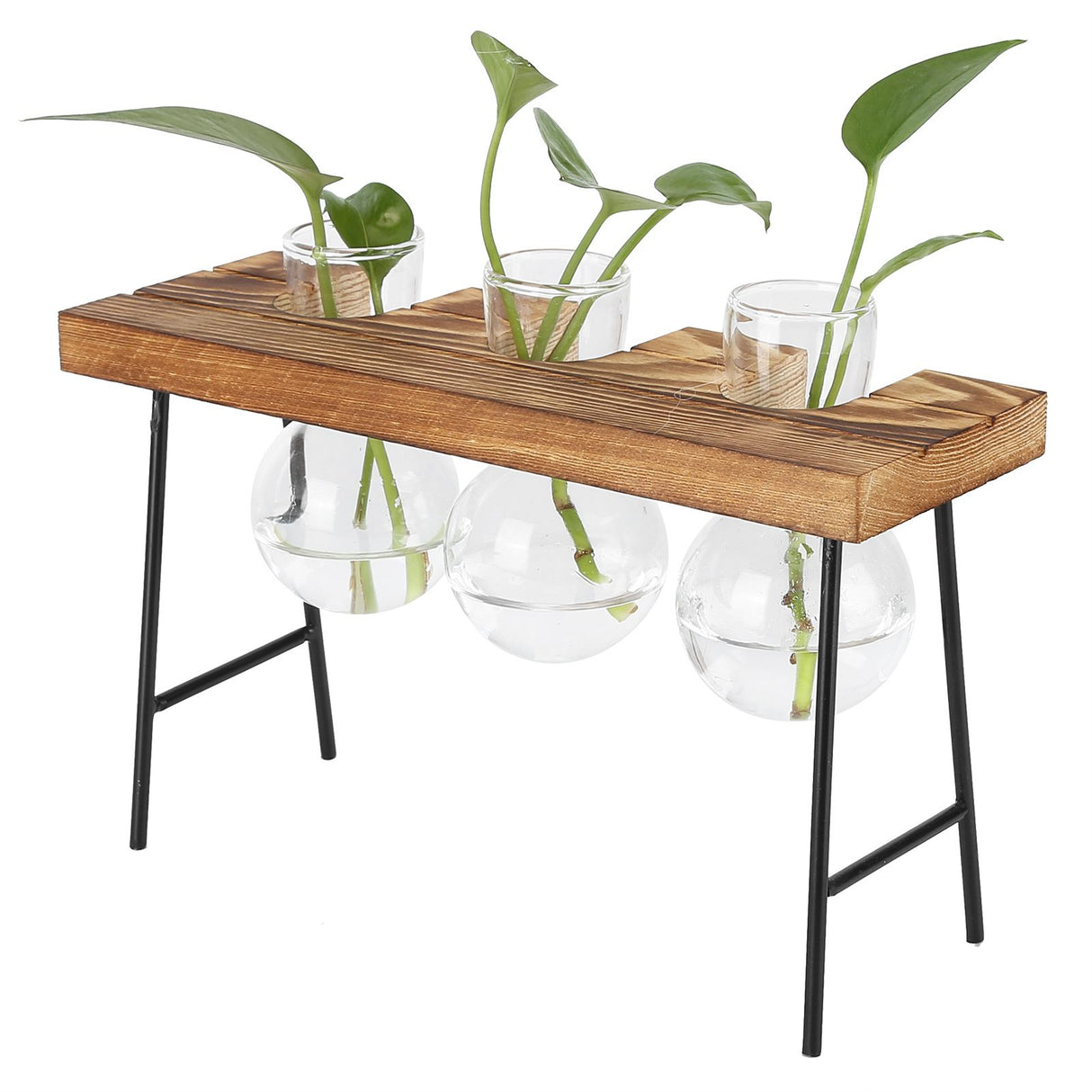 Desktop Glass Planter Wooden Stand Bulb Glass Vase Hydroponics Plant Planter for Home Office Garden3 Bottle