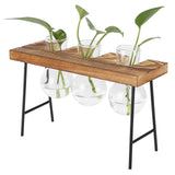 Desktop Glass Planter Wooden Stand Bulb Glass Vase Hydroponics Plant Planter for Home Office Garden3 Bottle