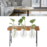Desktop Glass Planter Wooden Stand Bulb Glass Vase Hydroponics Plant Planter for Home Office Garden3 Bottle