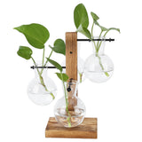 Innovative Hydroponic Vase with Wooden Stand Transparent Desktop Flower Vase for Home - Top-Down View