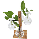 Innovative Hydroponic Vase with Wooden Stand Transparent Desktop Flower Vase for Home - 45-Degree Angle