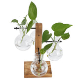 Innovative Hydroponic Vase with Wooden Stand Transparent Desktop Flower Vase for Home