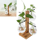Innovative Hydroponic Vase with Wooden Stand Transparent Desktop Flower Vase for Home - Extra Image