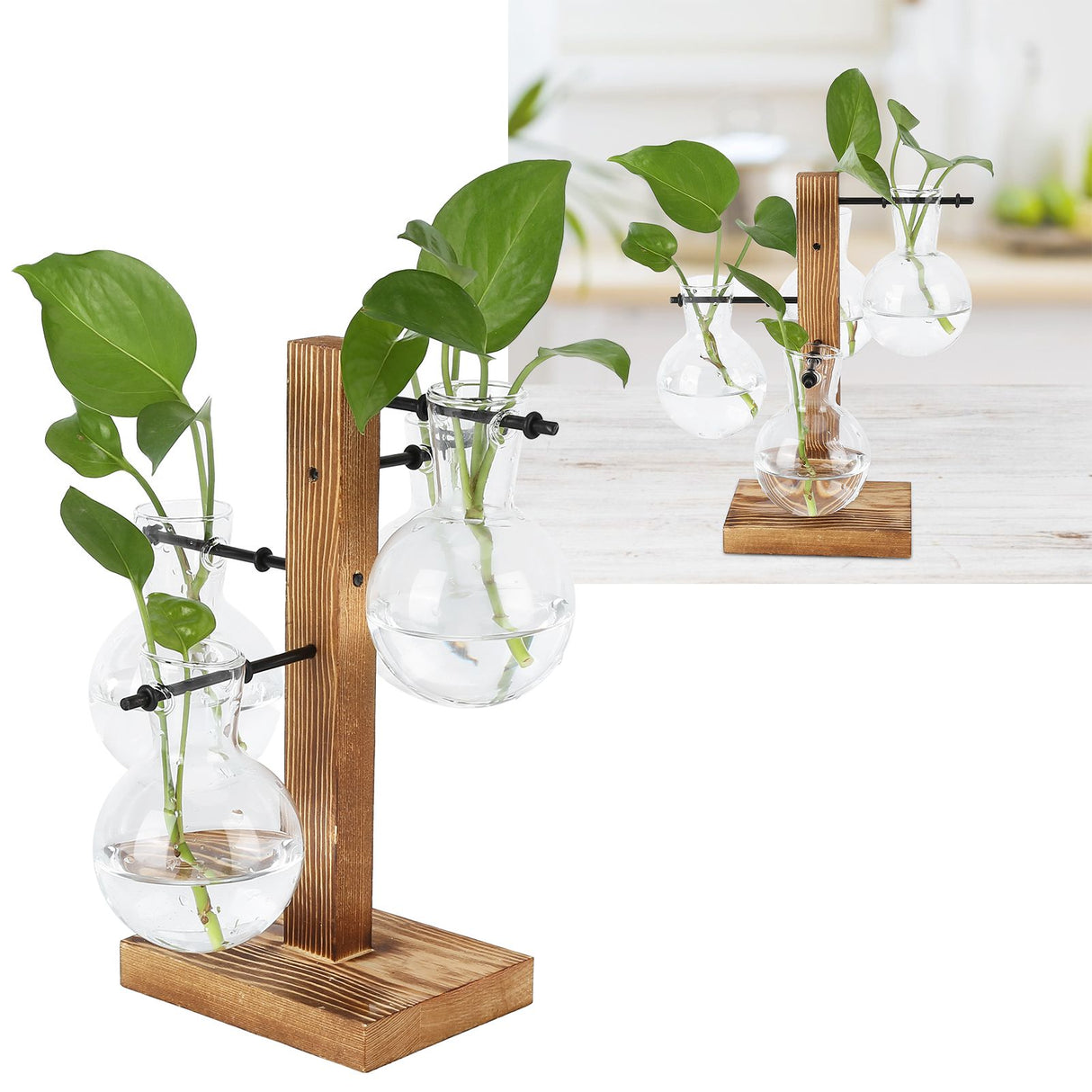 Innovative Hydroponic Vase with Wooden Stand Transparent Desktop Flower Vase for Home