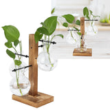 Innovative Hydroponic Vase with Wooden Stand Transparent Desktop Flower Vase for Home - Extra Image