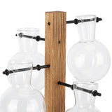 Innovative Hydroponic Vase with Wooden Stand Transparent Desktop Flower Vase for Home - Extra Image
