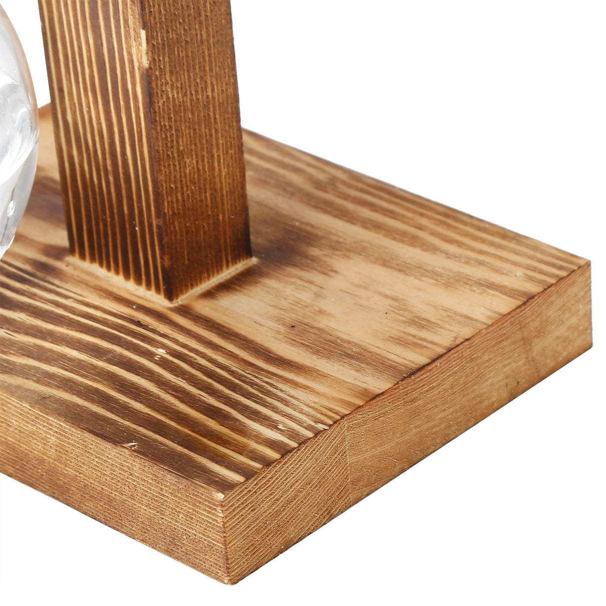 Innovative Hydroponic Vase with Wooden Stand Transparent Desktop Flower Vase for Home
