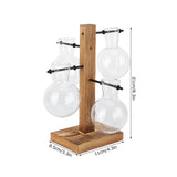 Innovative Hydroponic Vase with Wooden Stand Transparent Desktop Flower Vase for Home - Extra Image