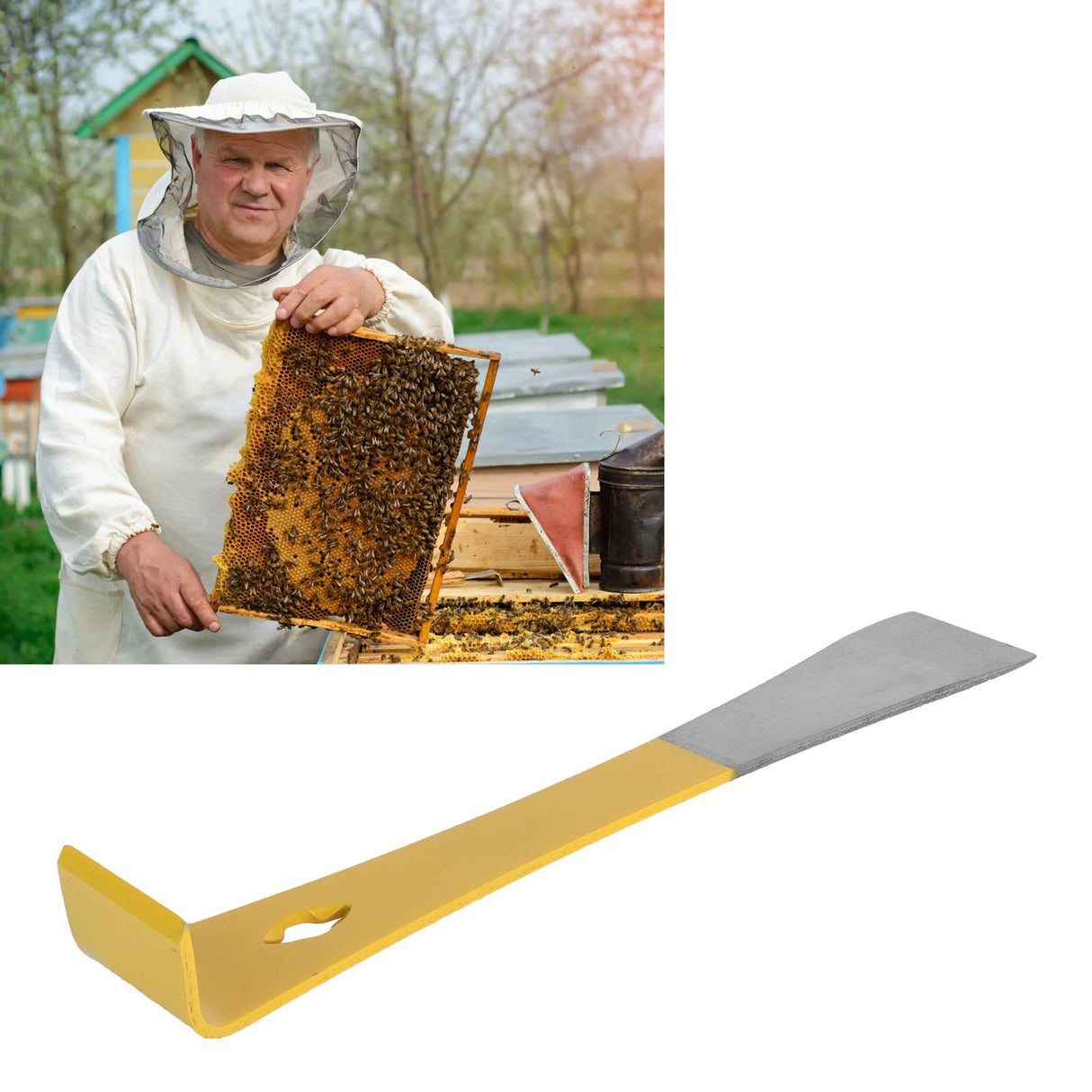 Beekeeper Scraper Stainless Steel Flat Scraper Honey Cutting Knife Beekeeping Tools