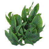 2PCS Artificial Water Plant Simulation Vine Lifelike Plastic Leaves Decoration with Suction Cup for Fish TankSweet Potato Leaves - Extra Image