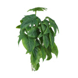 2PCS Artificial Water Plant Simulation Vine Lifelike Plastic Leaves Decoration with Suction Cup for Fish TankSweet Potato Leaves