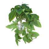 2PCS Artificial Water Plant Simulation Vine Lifelike Plastic Leaves Decoration with Suction Cup for Fish TankSweet Potato Leaves - Extra Image