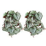 2PCS Artificial Water Plant Simulation Vine Lifelike Plastic Leaves Decoration with Suction Cup for Fish TankHeuchera Leaves