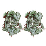 2PCS Artificial Water Plant Simulation Vine Lifelike Plastic Leaves Decoration with Suction Cup for Fish TankHeuchera Leaves