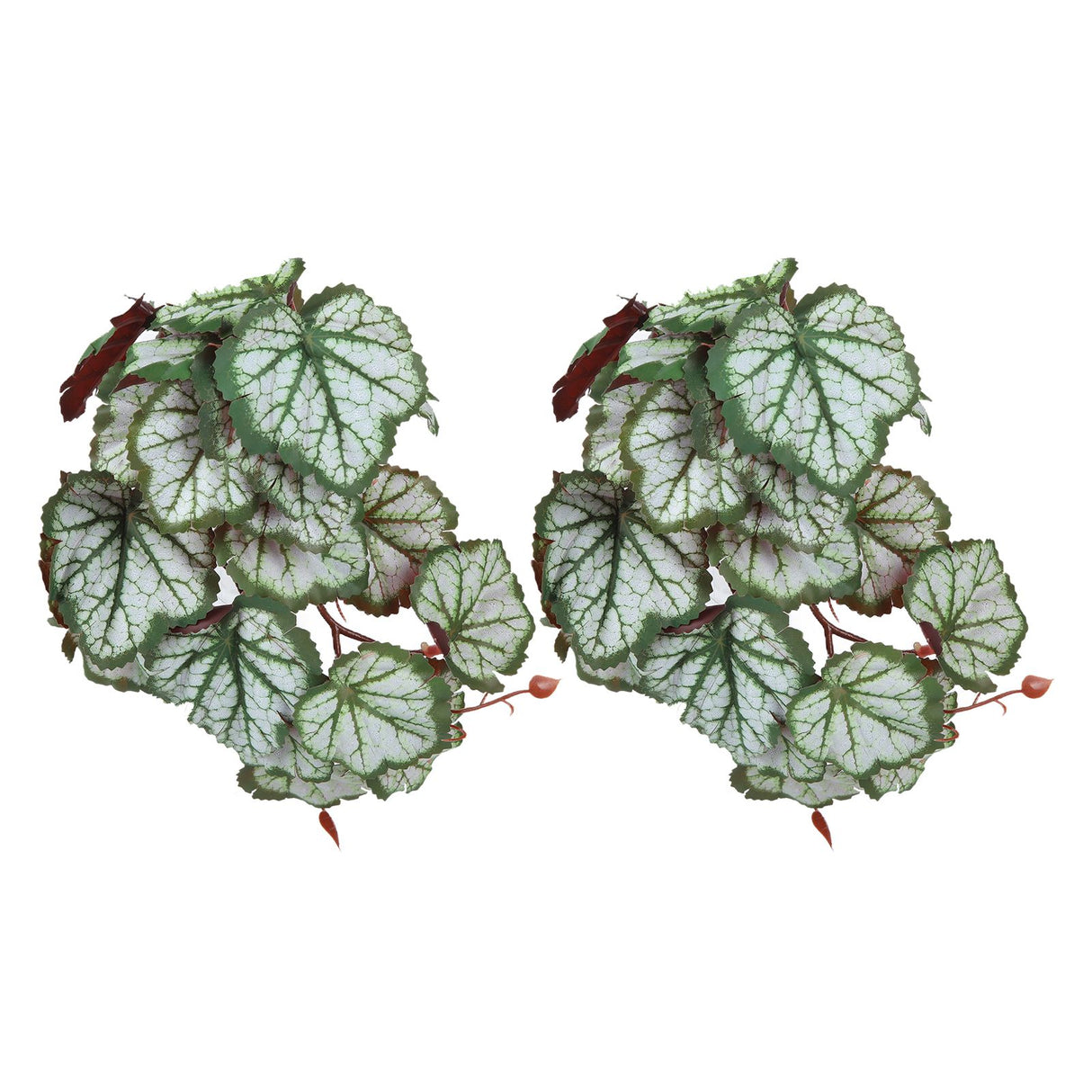 2PCS Artificial Water Plant Simulation Vine Lifelike Plastic Leaves Decoration with Suction Cup for Fish TankHeuchera Leaves