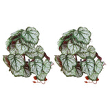 2PCS Artificial Water Plant Simulation Vine Lifelike Plastic Leaves Decoration with Suction Cup for Fish TankHeuchera Leaves