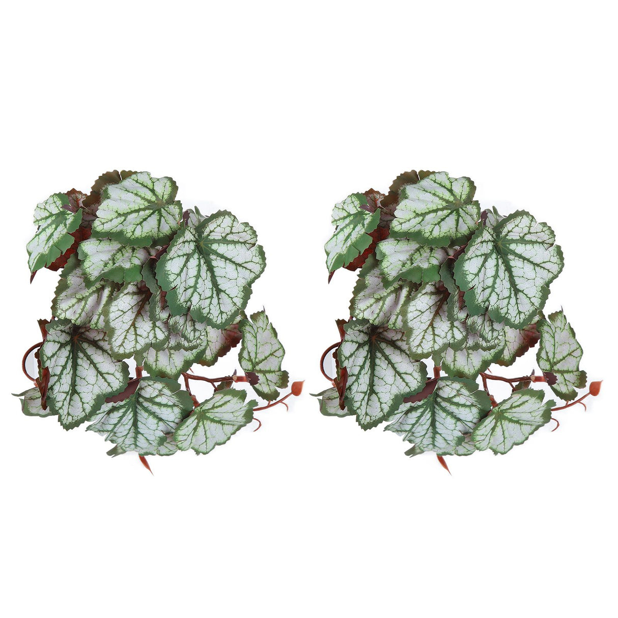 2PCS Artificial Water Plant Simulation Vine Lifelike Plastic Leaves Decoration with Suction Cup for Fish TankHeuchera Leaves