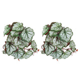 2PCS Artificial Water Plant Simulation Vine Lifelike Plastic Leaves Decoration with Suction Cup for Fish TankHeuchera Leaves