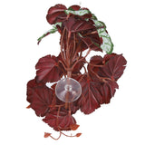 2PCS Artificial Water Plant Simulation Vine Lifelike Plastic Leaves Decoration with Suction Cup for Fish TankHeuchera Leaves