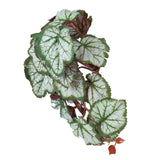 2PCS Artificial Water Plant Simulation Vine Lifelike Plastic Leaves Decoration with Suction Cup for Fish TankHeuchera Leaves - Extra Image