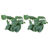 2PCS Artificial Water Plant Simulation Vine Lifelike Plastic Leaves Decoration with Suction Cup for Fish TankWatermelon Leaves