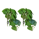 2PCS Artificial Water Plant Simulation Vine Lifelike Plastic Leaves Decoration with Suction Cup for Fish TankWatermelon Leaves - Top-Down View