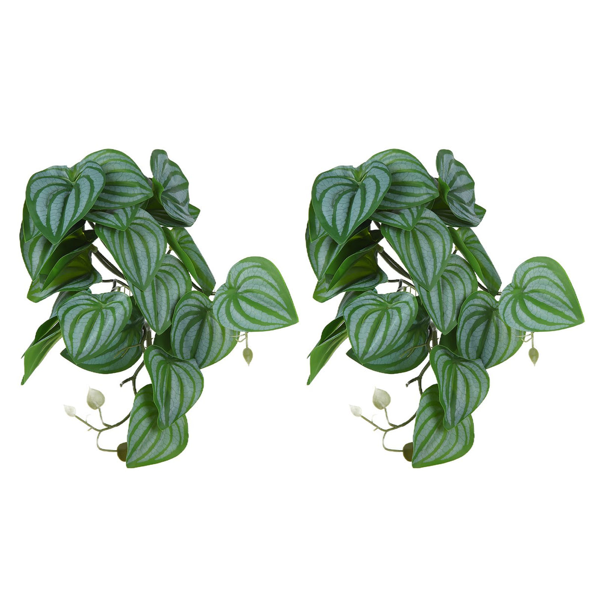 2PCS Artificial Water Plant Simulation Vine Lifelike Plastic Leaves Decoration with Suction Cup for Fish TankWatermelon Leaves