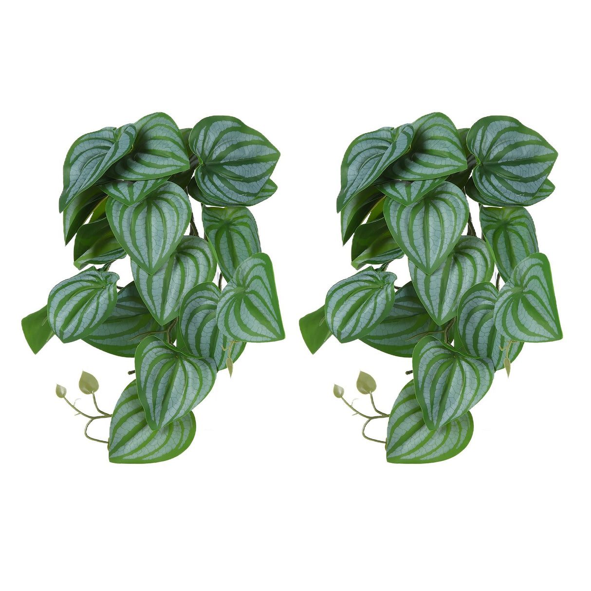 2PCS Artificial Water Plant Simulation Vine Lifelike Plastic Leaves Decoration with Suction Cup for Fish TankWatermelon Leaves