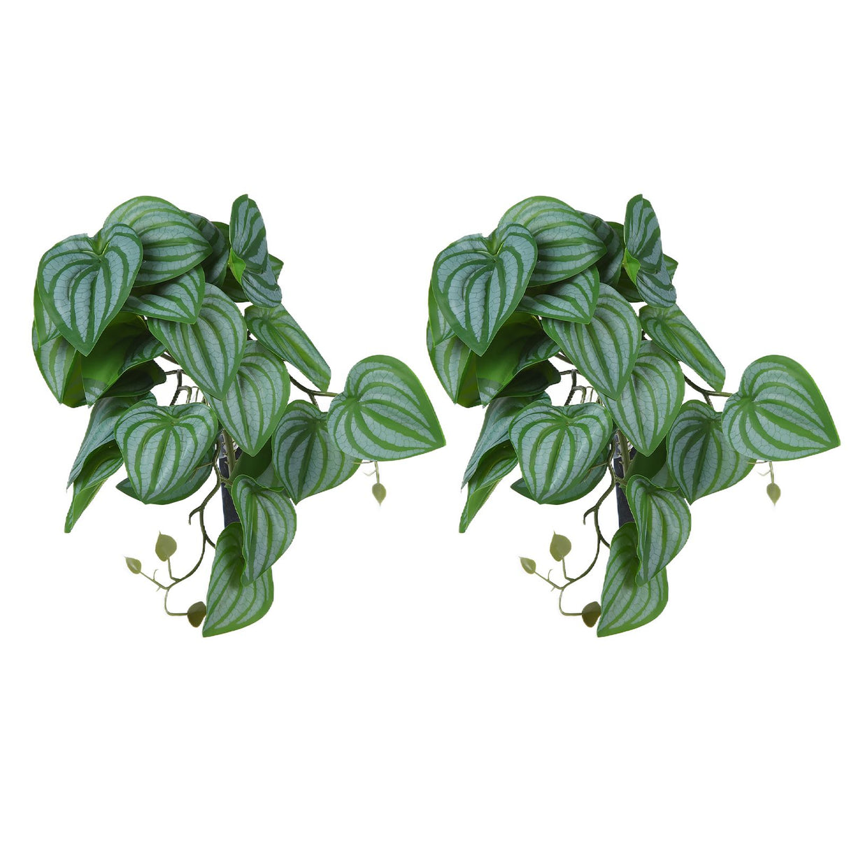 2PCS Artificial Water Plant Simulation Vine Lifelike Plastic Leaves Decoration with Suction Cup for Fish TankWatermelon Leaves