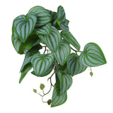 2PCS Artificial Water Plant Simulation Vine Lifelike Plastic Leaves Decoration with Suction Cup for Fish TankWatermelon Leaves - Extra Image