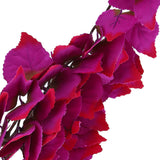 Artificial Reptile Plants Lifelike Plastic Plant Hanging Leaves Decoration with Suction Cup for Reptiles Terrarium Fish TankT-1034J1 - Extra Image