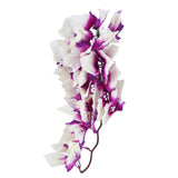 Artificial Reptile Plants Lifelike Plastic Plant Hanging Leaves Decoration with Suction Cup for Reptiles Terrarium Fish TankT-1034Q