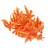 Artificial Reptile Plants Lifelike Plastic Plant Hanging Leaves Decoration with Suction Cup for Reptiles Terrarium Fish TankT‑007 Orange - Rear View
