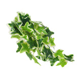 Artificial Reptile Plants Lifelike Plastic Plant Hanging Leaves Decoration with Suction Cup for Reptiles Terrarium Fish TankStar Leaf Vine