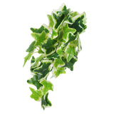 Artificial Reptile Plants Lifelike Plastic Plant Hanging Leaves Decoration with Suction Cup for Reptiles Terrarium Fish TankStar Leaf Vine - Extra Image