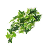 Artificial Reptile Plants Lifelike Plastic Plant Hanging Leaves Decoration with Suction Cup for Reptiles Terrarium Fish TankStar Leaf Vine - Extra Image