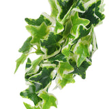 Artificial Reptile Plants Lifelike Plastic Plant Hanging Leaves Decoration with Suction Cup for Reptiles Terrarium Fish TankStar Leaf Vine - Extra Image