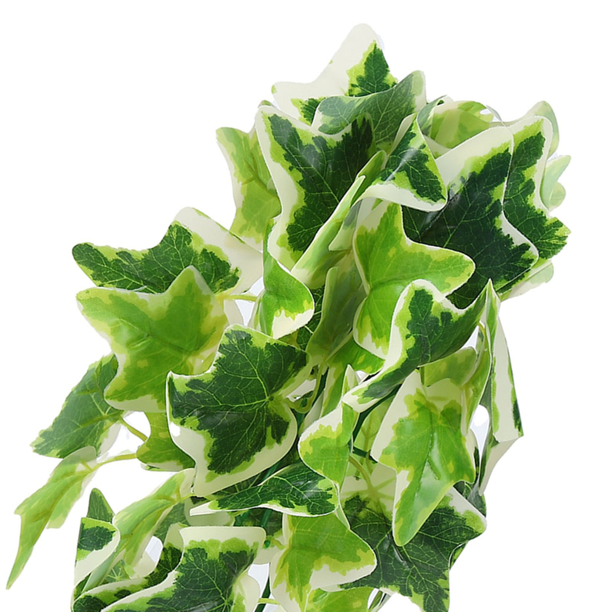 Artificial Reptile Plants Lifelike Plastic Plant Hanging Leaves Decoration with Suction Cup for Reptiles Terrarium Fish TankStar Leaf Vine