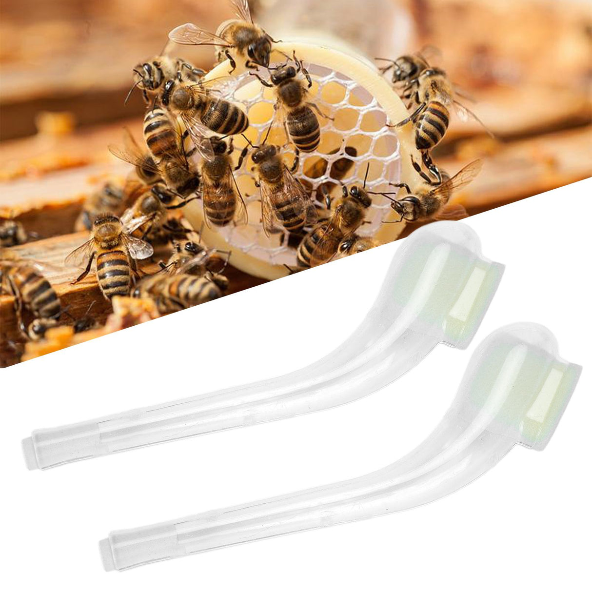 10PCS Queen Bee Catcher Pipe Bee Catching Tube Transparent Bee Catch Cage Beekeeping Tool