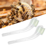 10PCS Queen Bee Catcher Pipe Bee Catching Tube Transparent Bee Catch Cage Beekeeping Tool