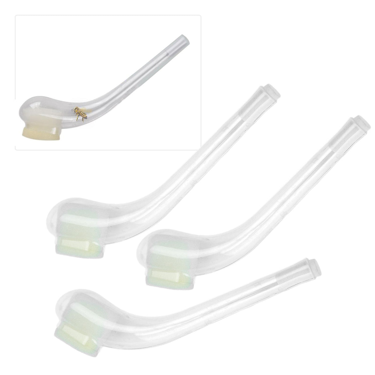 10PCS Queen Bee Catcher Pipe Bee Catching Tube Transparent Bee Catch Cage Beekeeping Tool