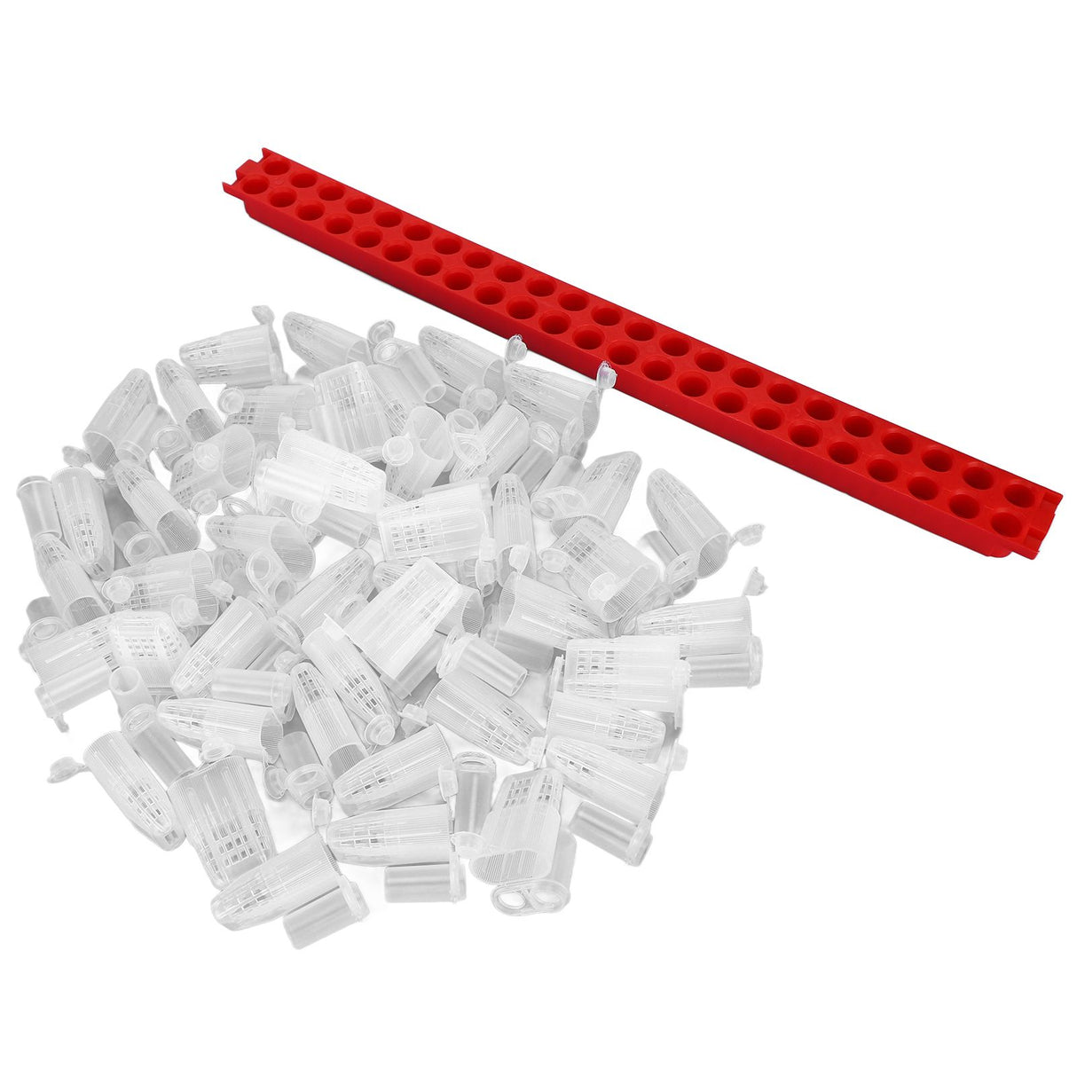 Bee Queen Cage Plastic Bee Rearing Cages Kit with Transport Strip Beekeeping Accessories
