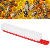 Bee Queen Cage Plastic Bee Rearing Cages Kit with Transport Strip Beekeeping Accessories - Extra Image
