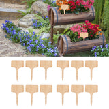 50PCS Bamboo Plant Labels T Type Wooden Plant Sign for Seed Potted Herbs Flowers Vegetables - Extra Image