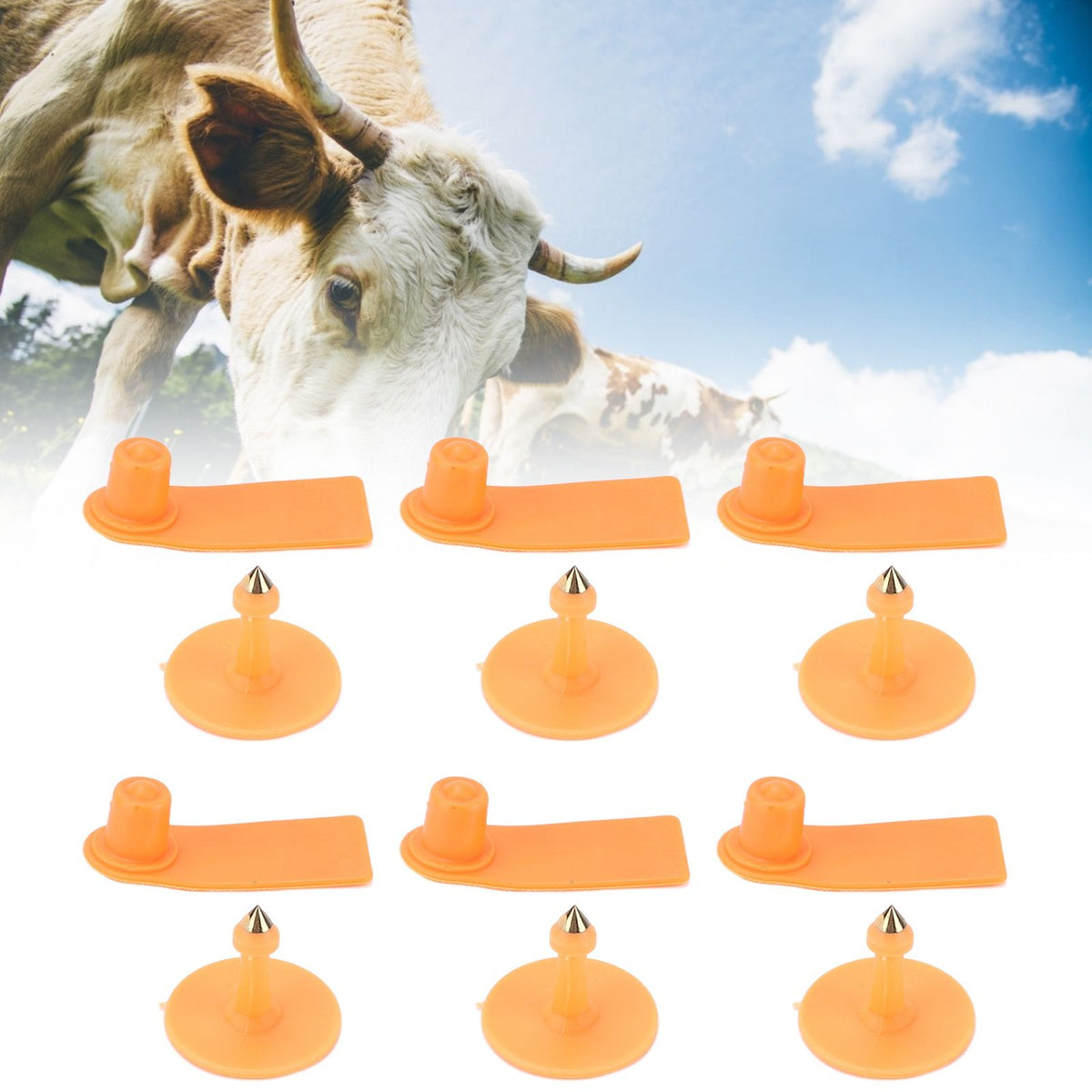 100Set Livestock Ear Tag Kit Plastic Farm Animal Ear Label Tag for Sheep Goats Cattle Cows Pigs