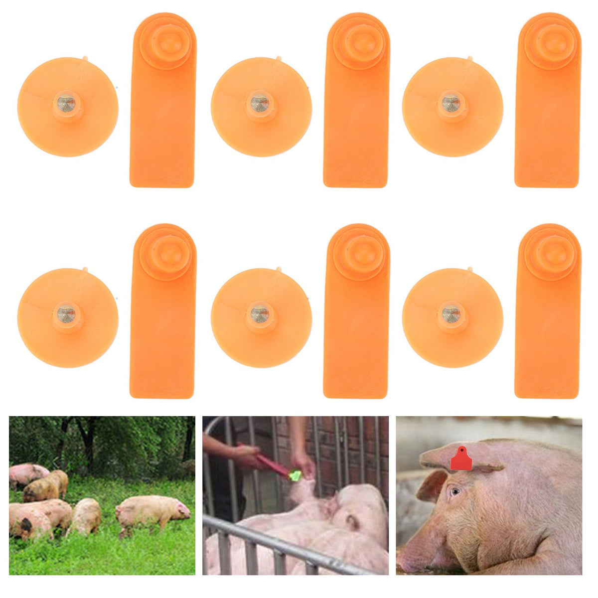 100Set Livestock Ear Tag Kit Plastic Farm Animal Ear Label Tag for Sheep Goats Cattle Cows Pigs