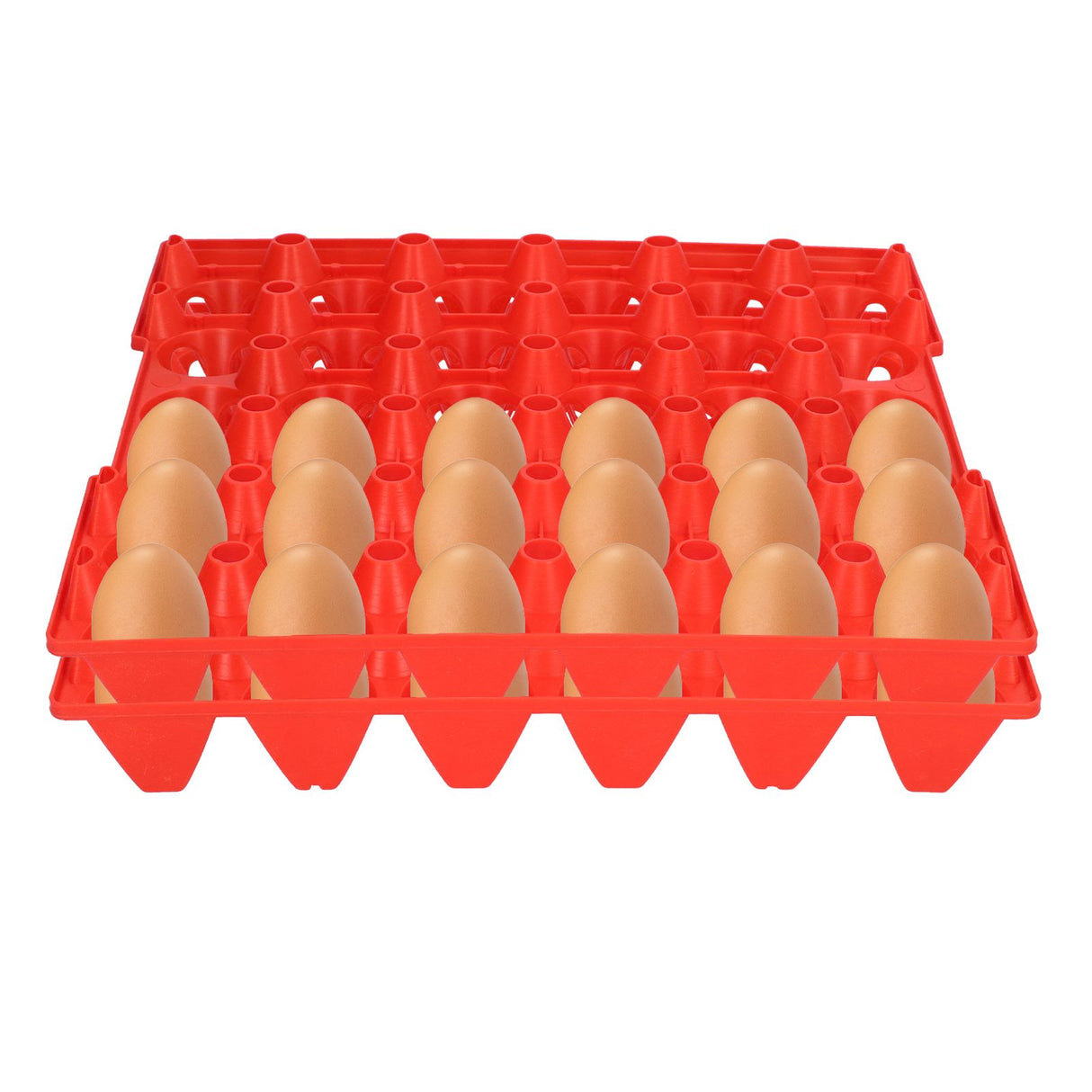 5PCS Plastic Egg Flats 30 Cell Egg Crates Holder Tray for Storage Transportation Home Farm SuppliesRed