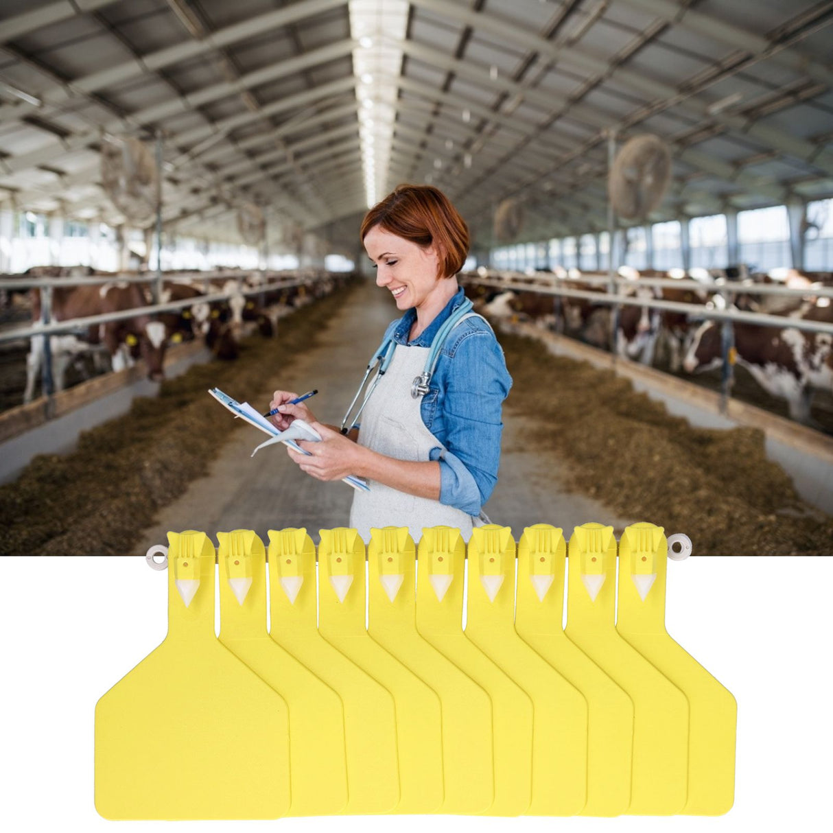 100Pcs Plastic Integrated Ear Tag Kit Livestock Farm Ear Label Tag for Cow Cattle Identification Yellow